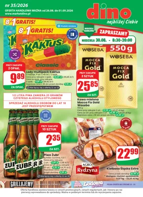 Gazetka Dino